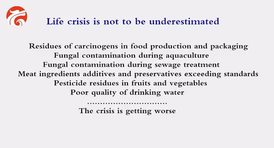 Hochwertiger kommerzieller industrieller Ozongenerator der Dyh-Wasseraufbereitungs-/Pipeline-Desinfektionsserie