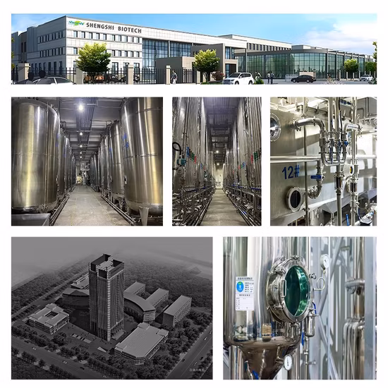 Werkseitig hochwertiges 98,5 % Glyoxylsäure-Monohydrat CAS 563-96-2