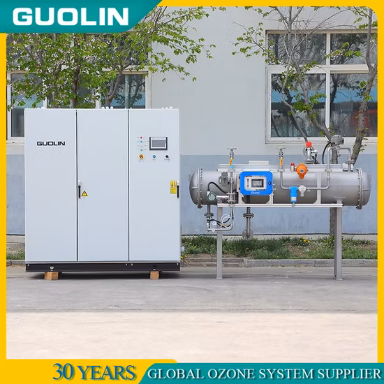 Industrieller Ozongenerator für die Wasser- und Abgasaufbereitung