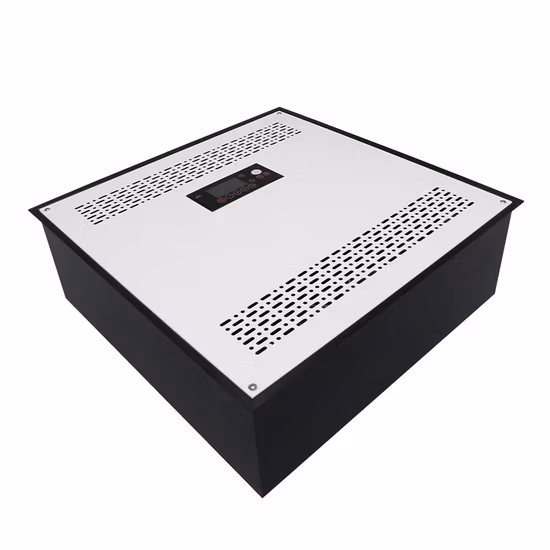 Flygoo 50 g/h industrieller, an der Decke montierter Ozongenerator, Luftdesinfektor, Ozondesinfektionsmittel